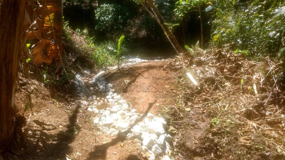 Comprar Rurais / Sítio/Fazenda em São José dos Campos apenas R$ 1.248.000,00 - Foto 24 Comprar Rurais / Sítio/Fazenda em São José dos Campos apenas R$ 1.248.000,00 - Foto 24
