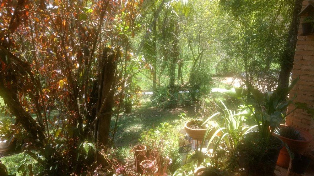 Comprar Rurais / Sítio/Fazenda em São José dos Campos apenas R$ 1.248.000,00 - Foto 29 Comprar Rurais / Sítio/Fazenda em São José dos Campos apenas R$ 1.248.000,00 - Foto 29