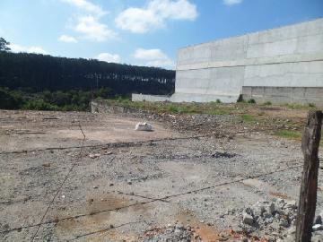 imagem 3 - Lote/Terreno - Áreas imagem 3 - Lote/Terreno - Áreas