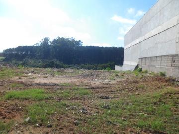 imagem 2 - Lote/Terreno - Áreas imagem 2 - Lote/Terreno - Áreas