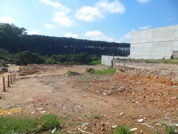 imagem 4 - Lote/Terreno - Áreas imagem 4 - Lote/Terreno - Áreas