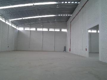 imagem 1 - Comerciais - Galpão imagem 1 - Comerciais - Galpão