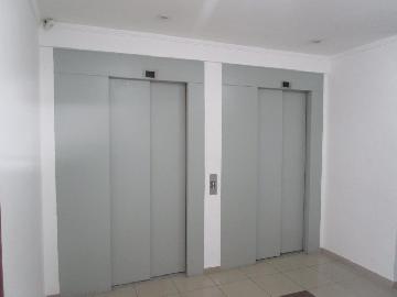 alt=