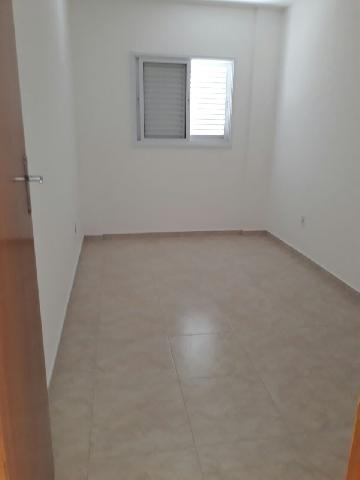 imagem 5 - Apartamentos - Padrão imagem 5 - Apartamentos - Padrão