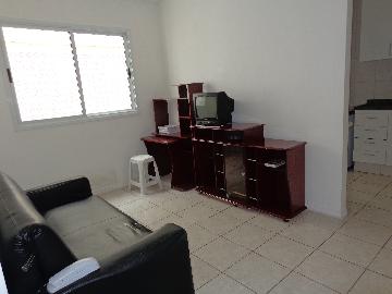 imagem 3 - Apartamentos - Padrão imagem 3 - Apartamentos - Padrão