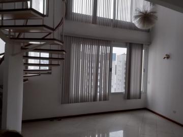 imagem 3 - Apartamentos - Padrão imagem 3 - Apartamentos - Padrão