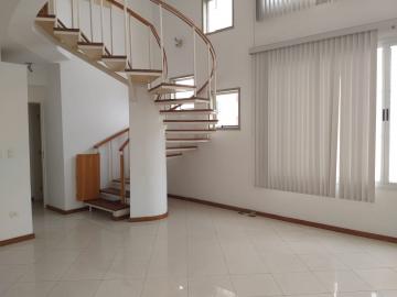 imagem 5 - Apartamentos - Padrão imagem 5 - Apartamentos - Padrão