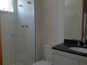 Alugar Apartamentos / Padrão em São José dos Campos R$ 5.000,00 - Foto 14 Alugar Apartamentos / Padrão em São José dos Campos R$ 5.000,00 - Foto 14