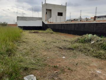 imagem 1 - Lote/Terreno - Residencial imagem 1 - Lote/Terreno - Residencial