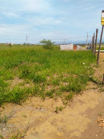 imagem 4 - Lote/Terreno - Residencial imagem 4 - Lote/Terreno - Residencial
