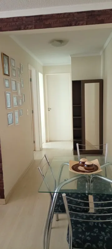 imagem 3 - Lindo apartamento na Vila Tesouro imagem 3 - Lindo apartamento na Vila Tesouro