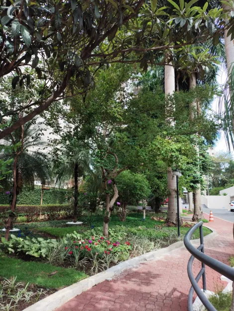 imagem 2 - Amplo Apartamento na Vila Ema ? Conforto e Localização Privilegiada imagem 2 - Amplo Apartamento na Vila Ema ? Conforto e Localização Privilegiada