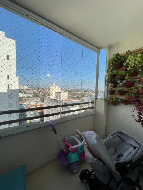 imagem 3 - Incrível Apartamento 3 Dormitórios com Suíte e 2 vagas Parque Industrial imagem 3 - Incrível Apartamento 3 Dormitórios com Suíte e 2 vagas Parque Industrial